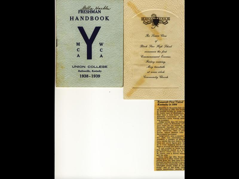Handbook & articles.jpg
